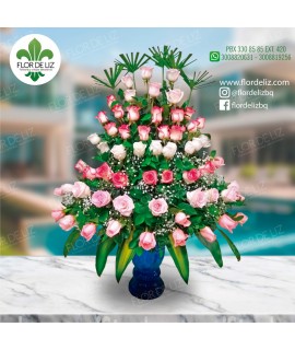 ROSAS RADIANTES ROSAS RADIANTES